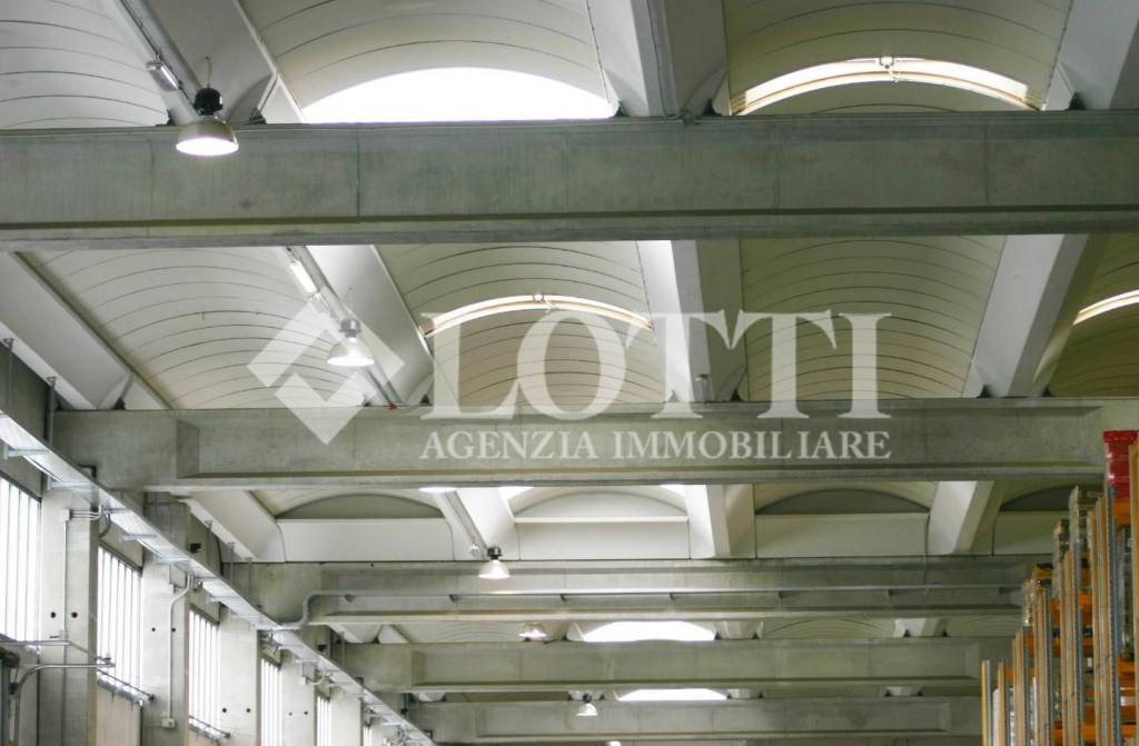 immagine annuncio 5 di 8