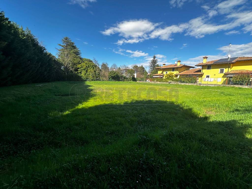 immagine annuncio 3 di 6