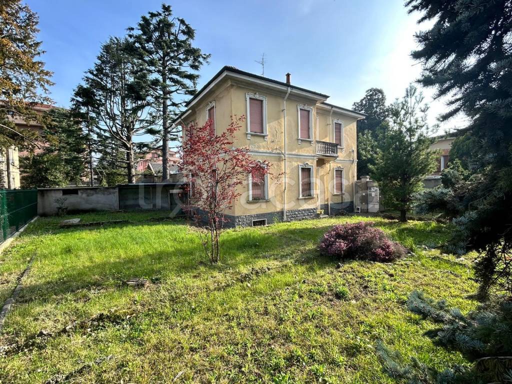 immagine annuncio 4 di 15