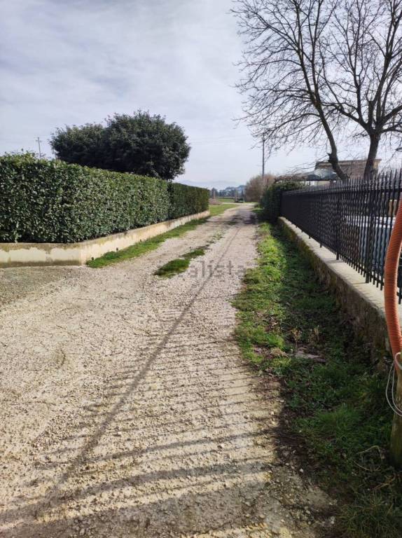 immagine annuncio 2 di 6