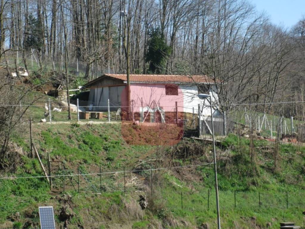 immagine annuncio 3 di 4