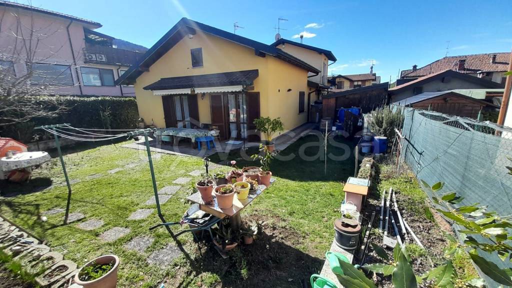immagine annuncio 1 di 15