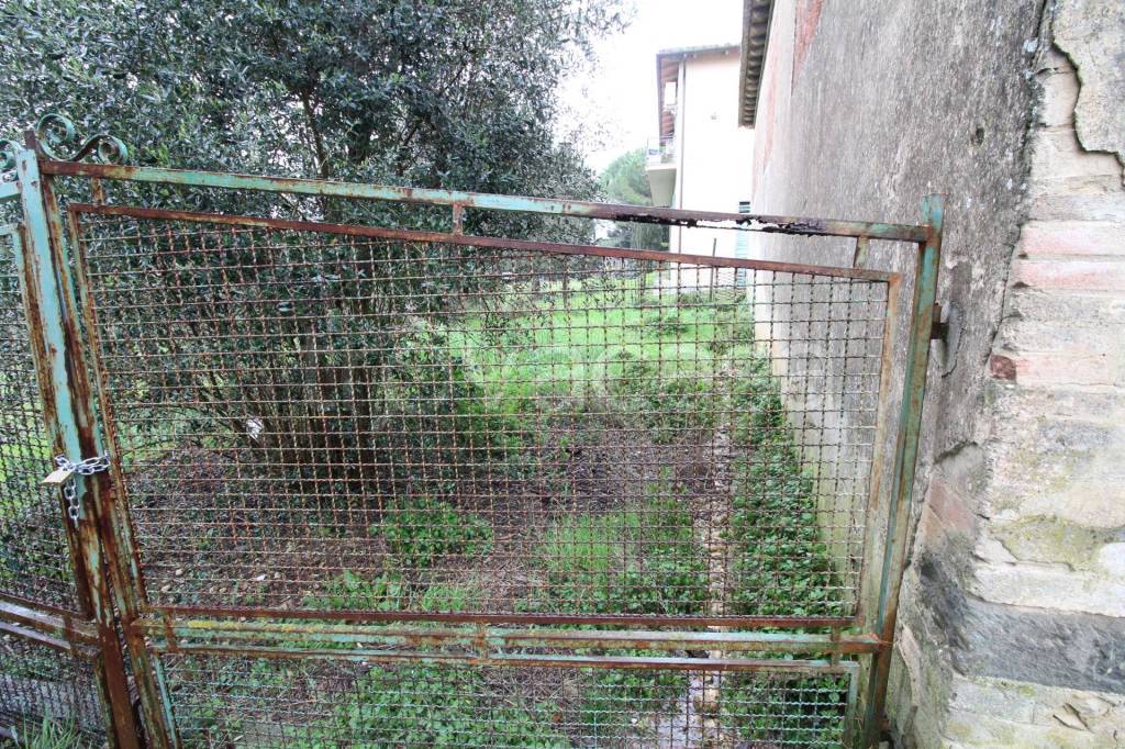 immagine annuncio 6 di 7