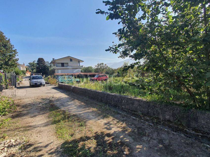 immagine annuncio 7 di 13