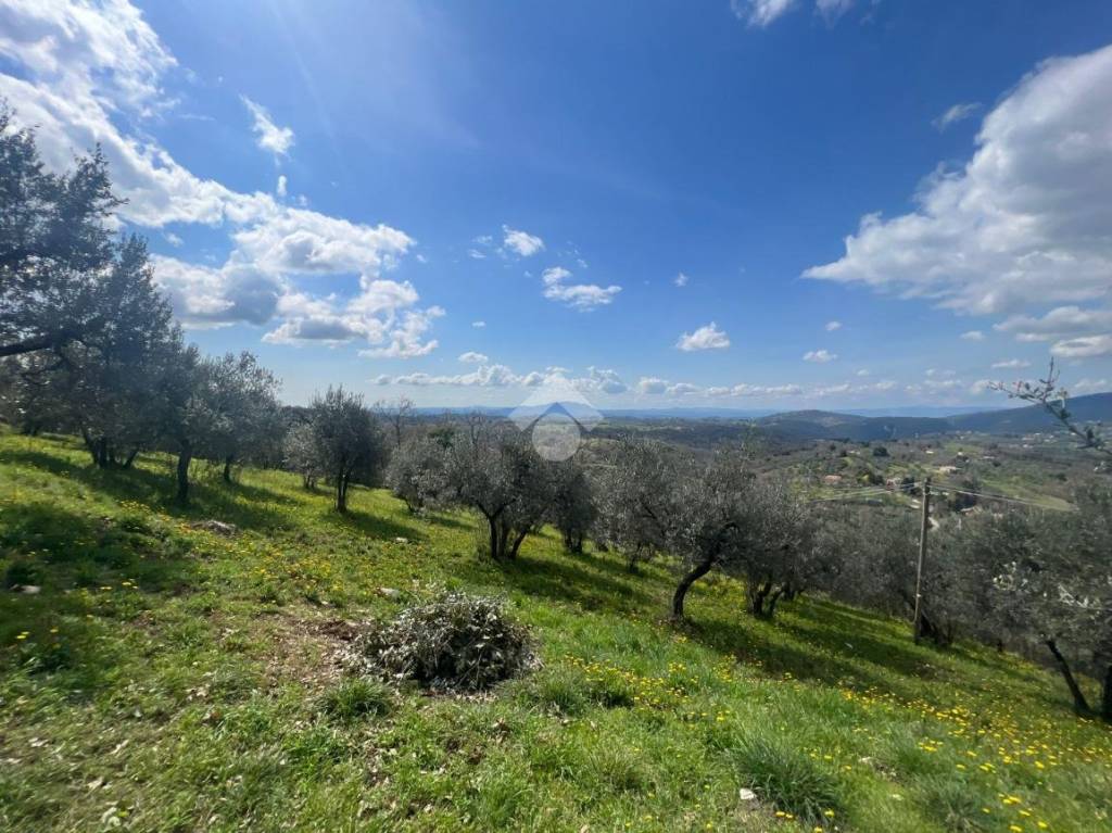 immagine annuncio 4 di 7