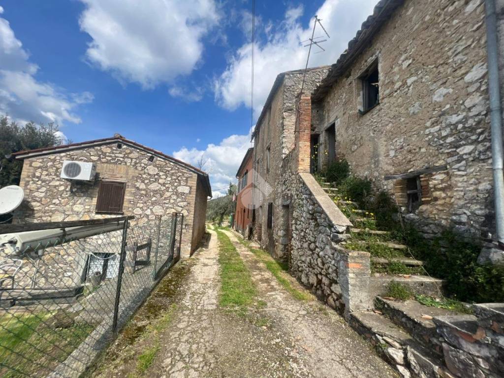 immagine annuncio 5 di 7