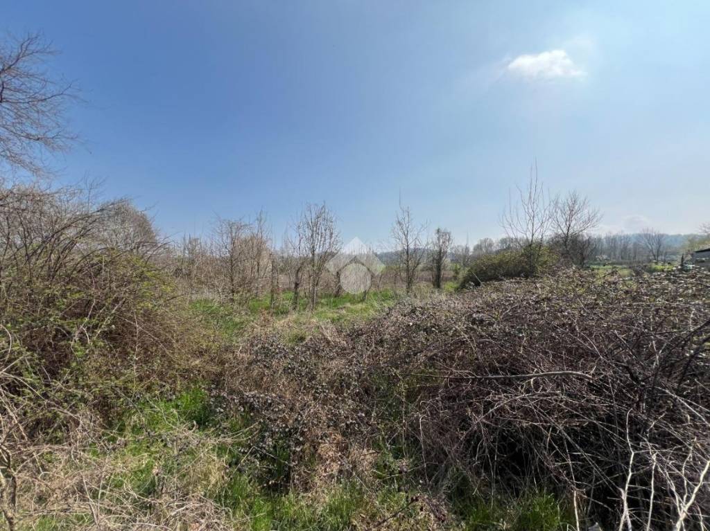 immagine annuncio 2 di 6