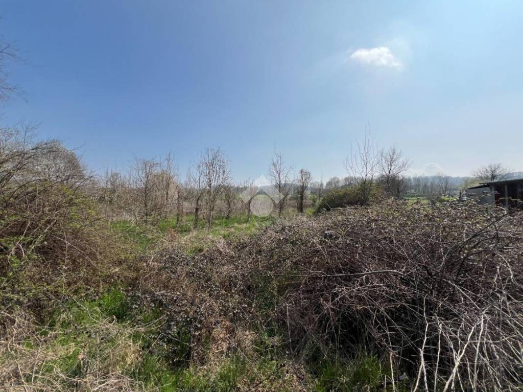 immagine annuncio 3 di 6