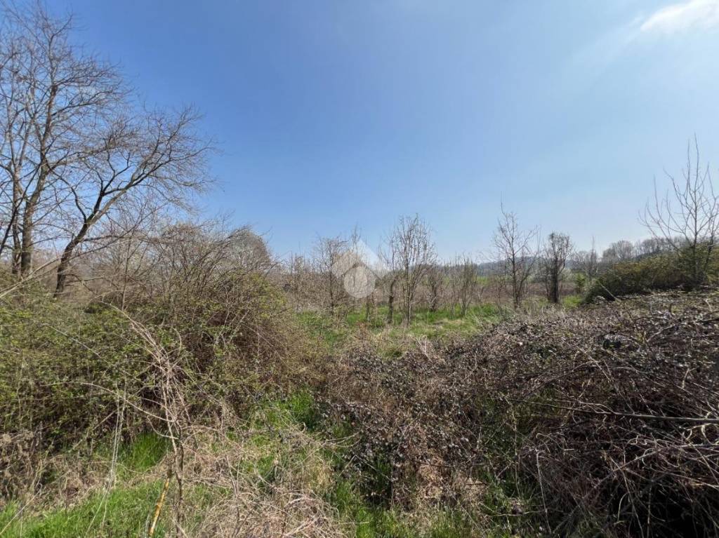 immagine annuncio 4 di 6