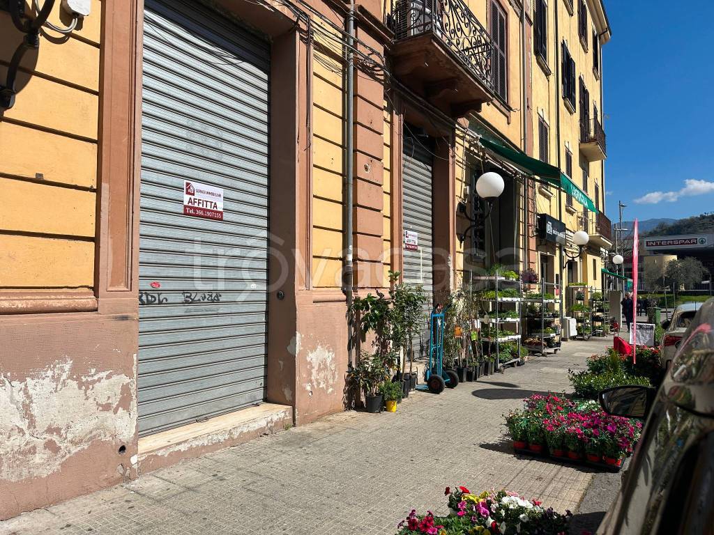 immagine annuncio 1 di 3