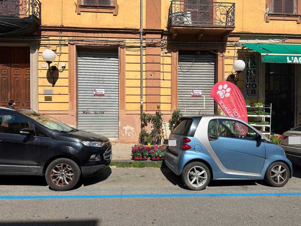 immagine annuncio 2 di 3