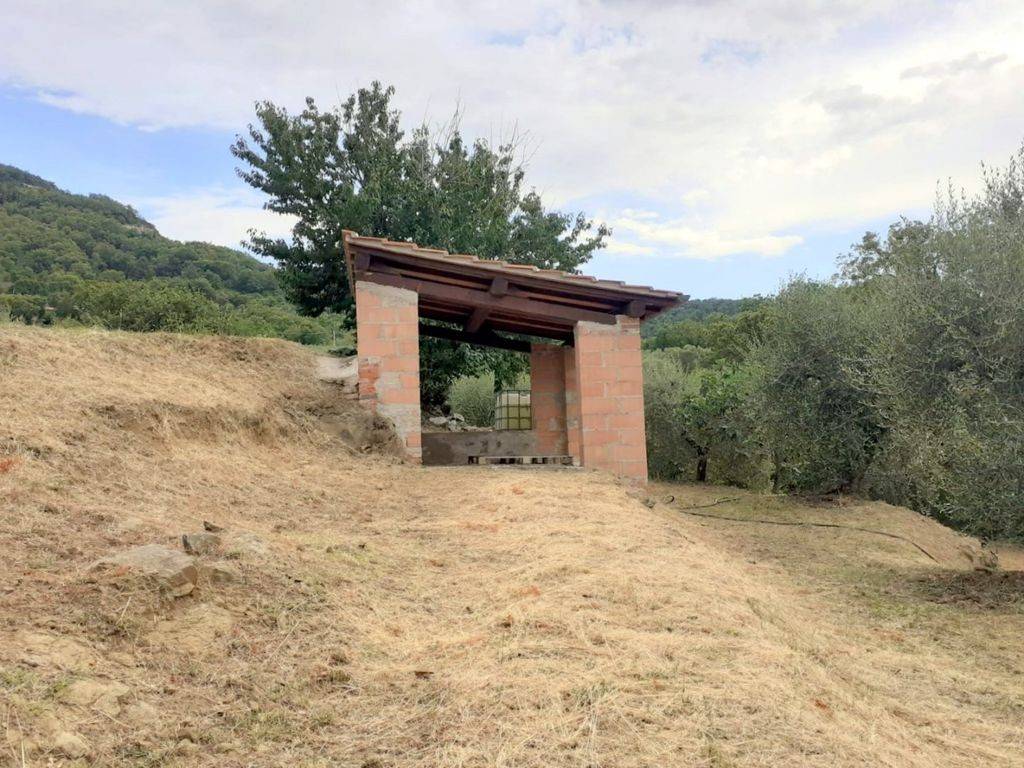immagine annuncio 1 di 7