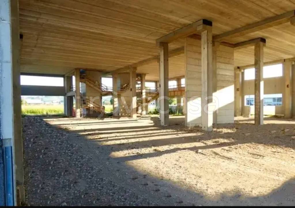 immagine annuncio 3 di 6