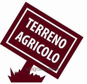 Terreno Agricolo in vendita a Forlì via amo