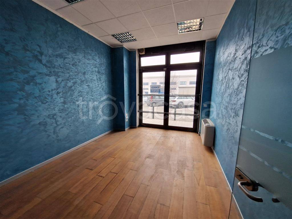 immagine annuncio 9 di 15
