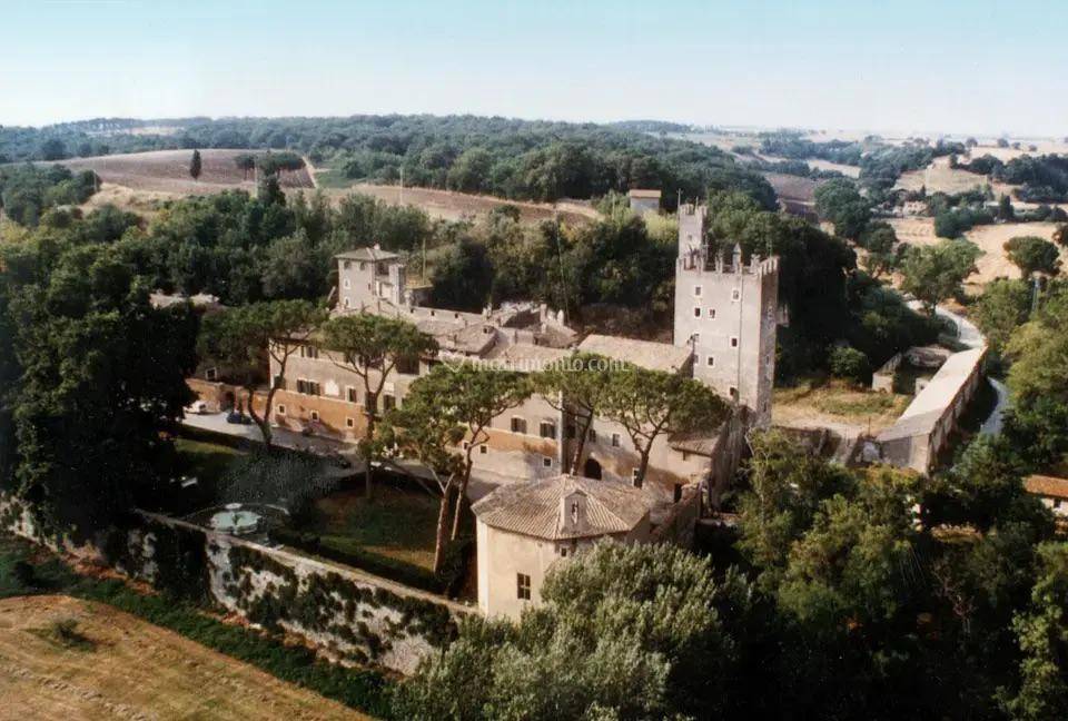 immagine annuncio 2 di 14