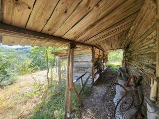 Terreni agricoli in vendita in provincia di Arezzo TrovaCasa