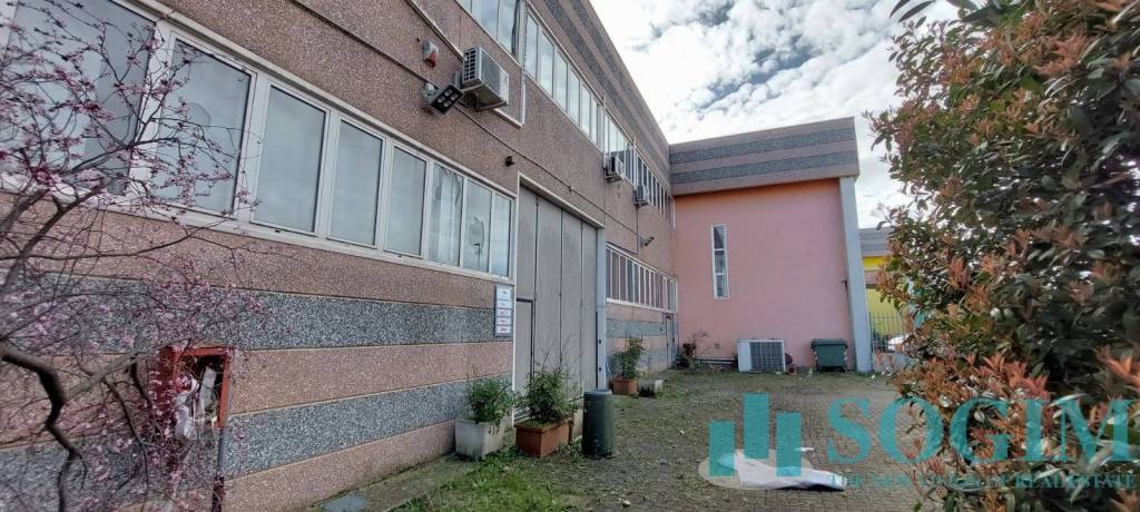 immagine annuncio 3 di 15