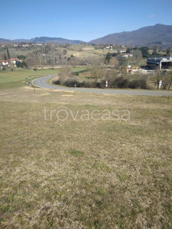 immagine annuncio 3 di 6