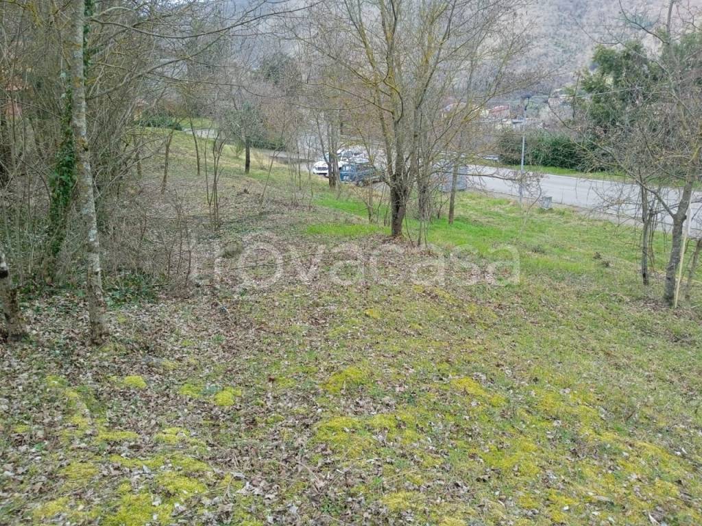 immagine annuncio 8 di 13