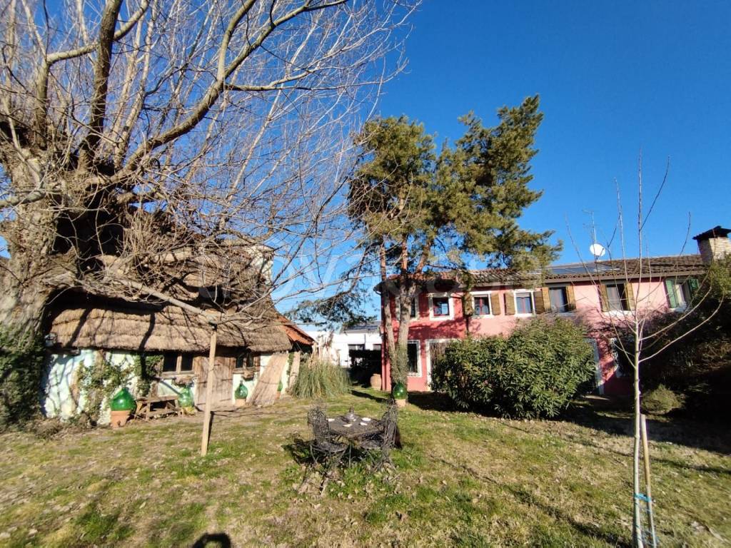 immagine annuncio 3 di 15