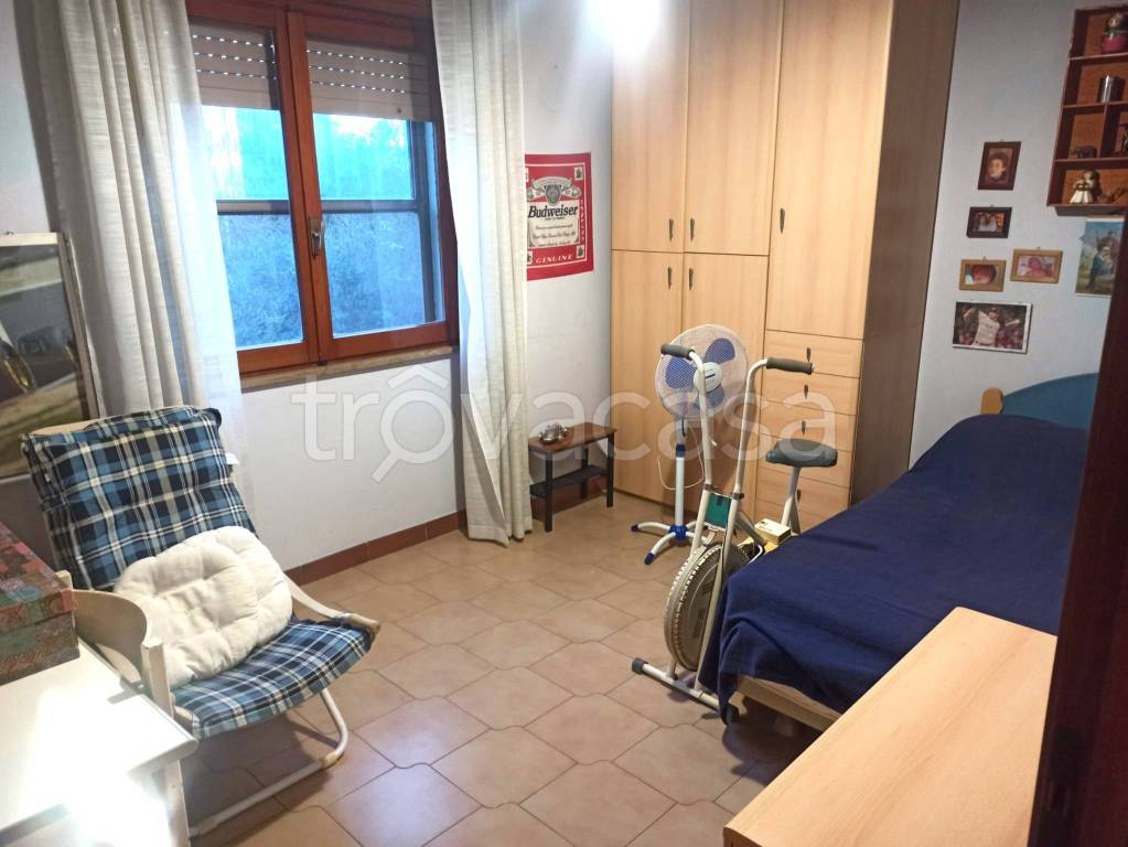 immagine annuncio 9 di 14
