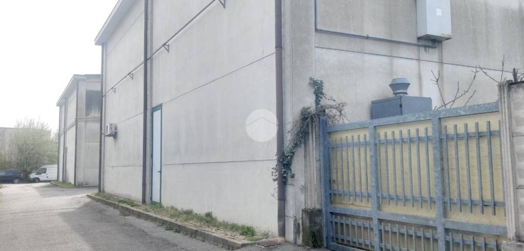 immagine annuncio 6 di 11