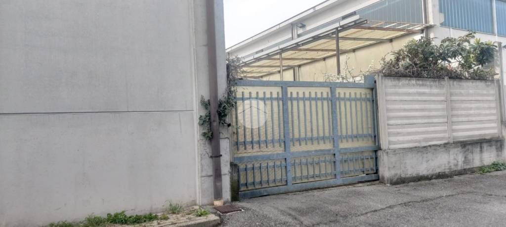 immagine annuncio 7 di 11