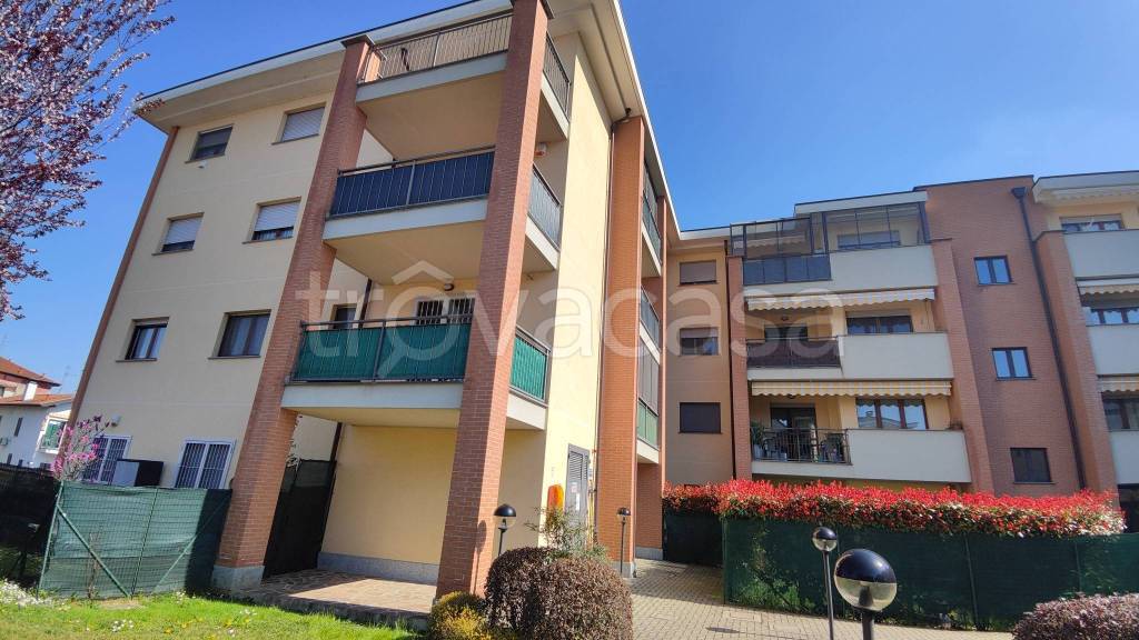 immagine annuncio 6 di 15