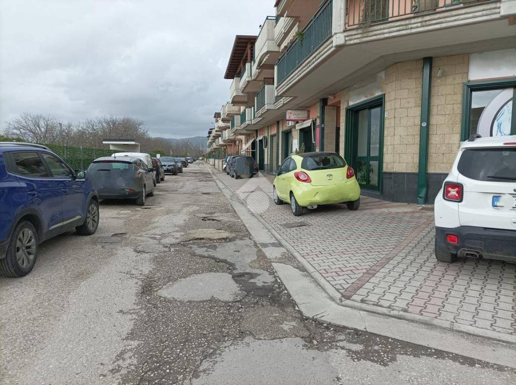 immagine annuncio 5 di 6