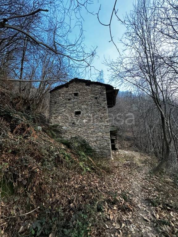 immagine annuncio 7 di 13