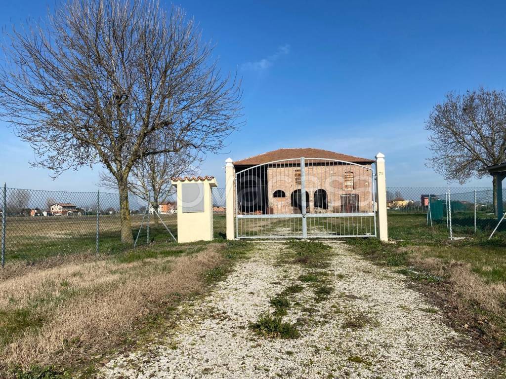 immagine annuncio 3 di 8