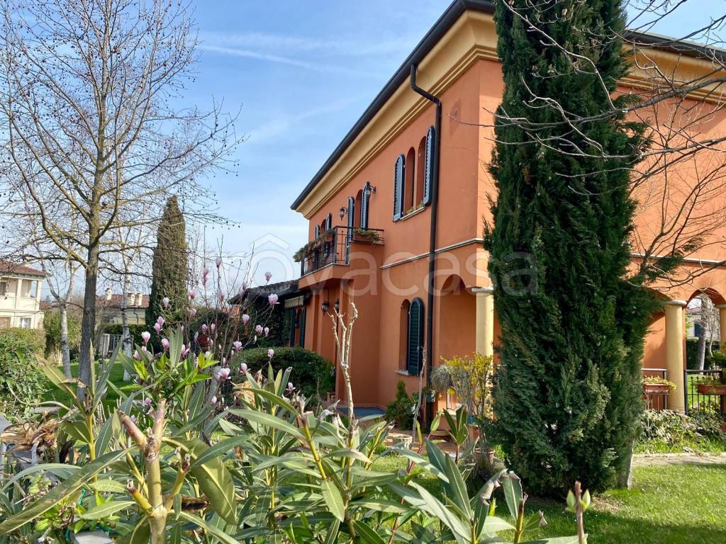 immagine annuncio 5 di 15