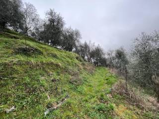 Terreno agricolo in vendita a ceriana strada dugli