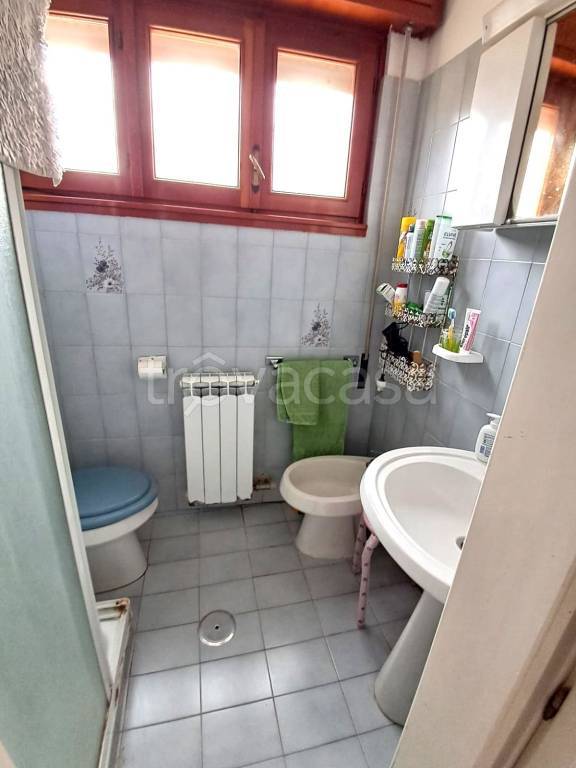 immagine annuncio 9 di 14