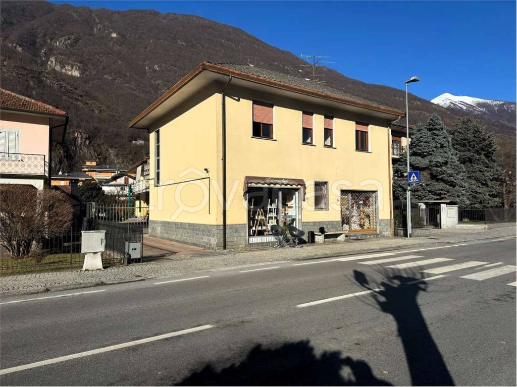 immagine annuncio 13 di 15