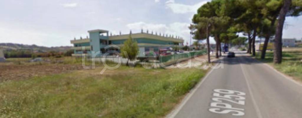 immagine annuncio 8 di 13