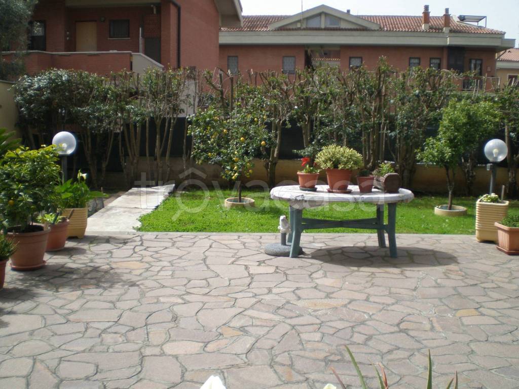 immagine annuncio 3 di 15