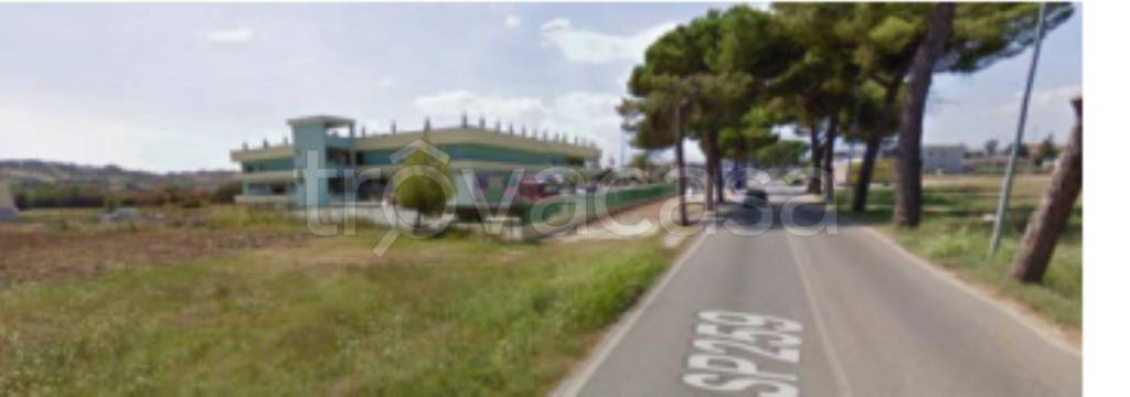 immagine annuncio 7 di 12