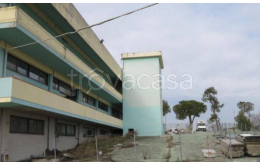 immagine annuncio 3 di 11