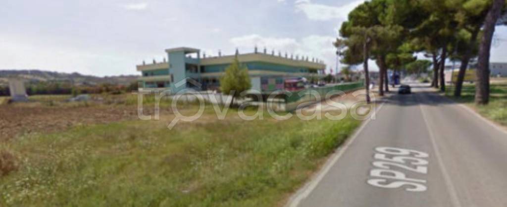 immagine annuncio 6 di 11