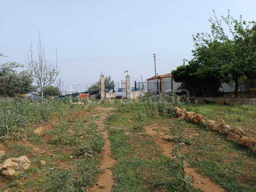 Terreno Agricolo in vendita a Bagheria strada Comunale Marino 2