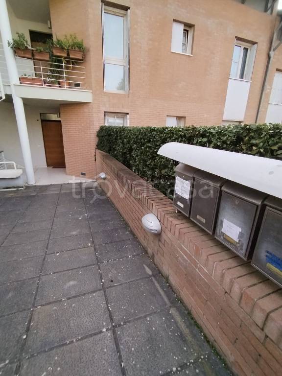 Appartamento in in vendita da privato a Siena via Cesare Brandi, 11