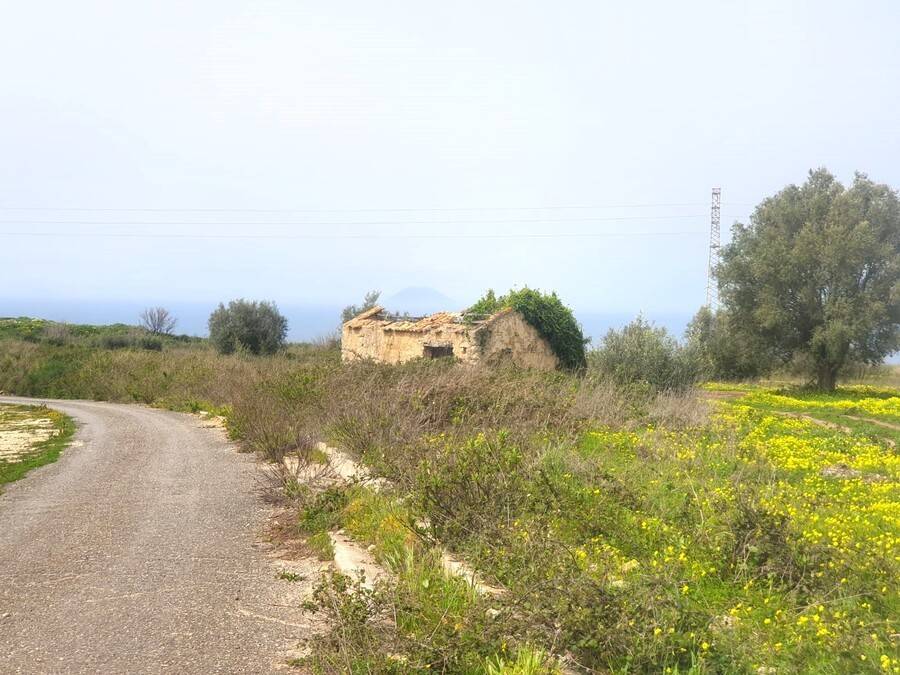 immagine annuncio 7 di 14