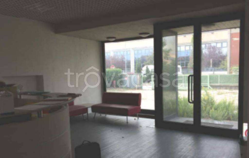 immagine annuncio 5 di 11