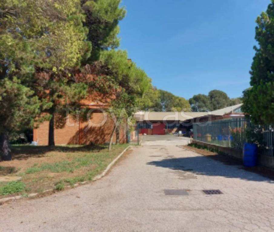 immagine annuncio 5 di 11