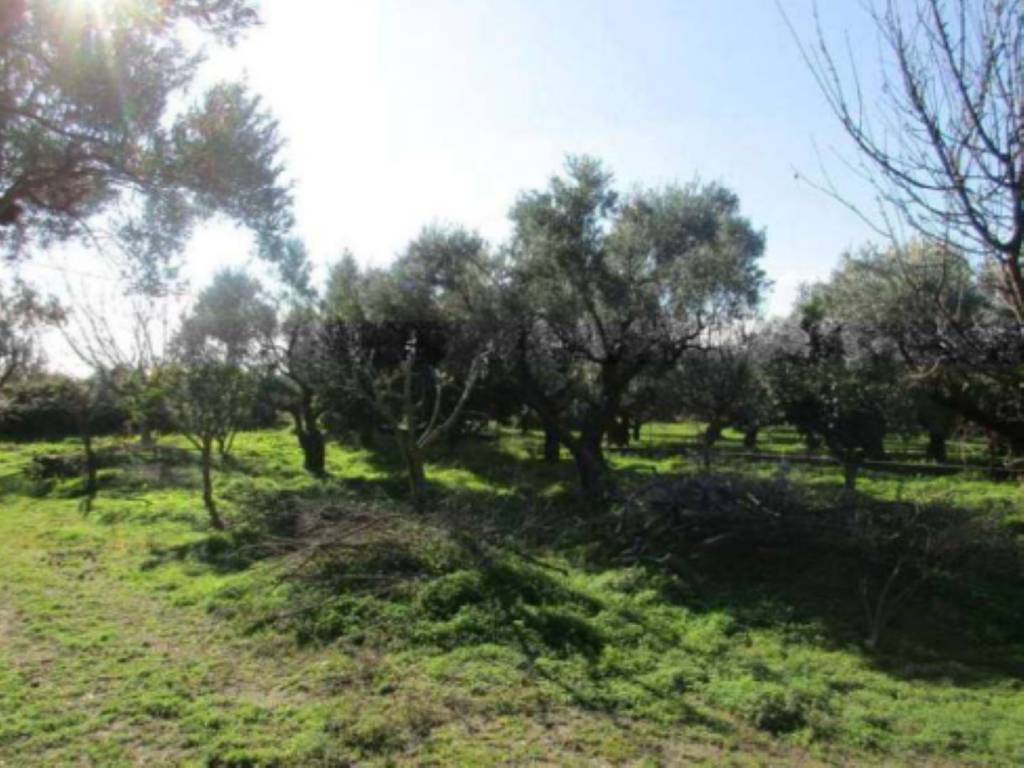 Terreno Agricolo in vendita a Lamezia Terme località Priano
