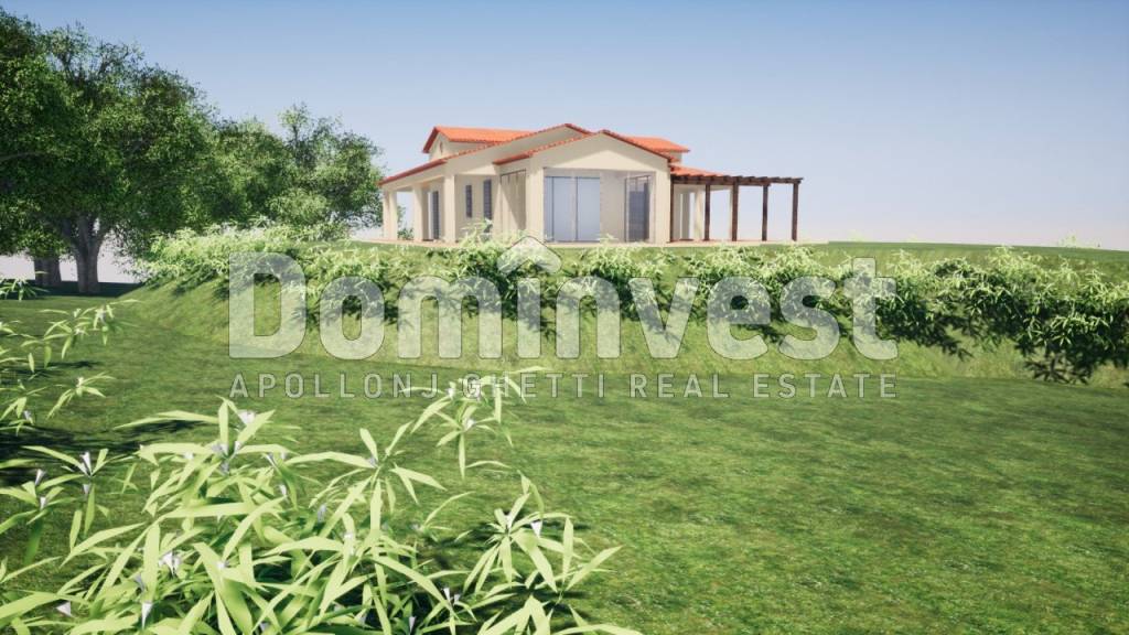 immagine annuncio 4 di 8