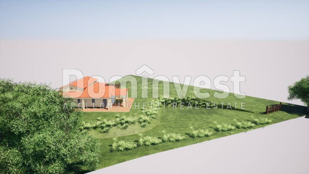 immagine annuncio 5 di 8