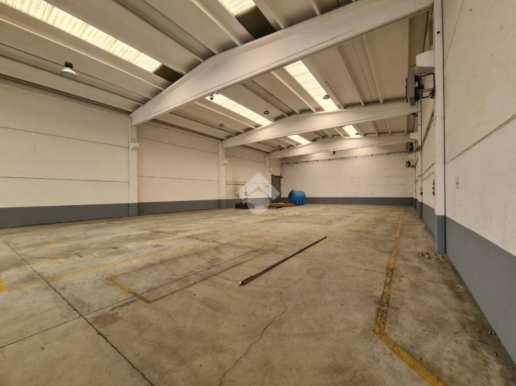 immagine annuncio 3 di 11